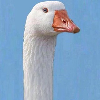 🌚 СТЭТИК 🍂