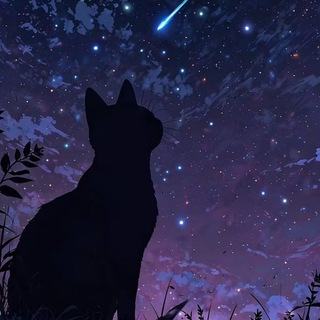 записки Дениски