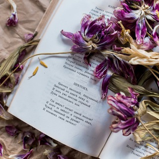 Мир стихов 🍁