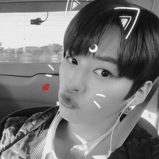 архив’стикеры минхо & хенджин