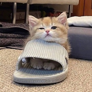 СТИКЕРЫ ДЛЯ ДИАЛОГОВ