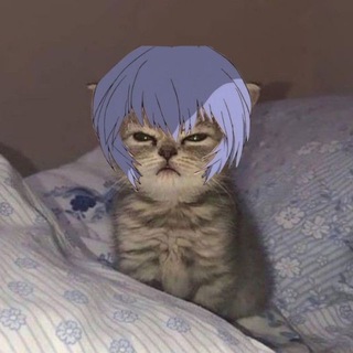 Ворованные мемы про Евангелион