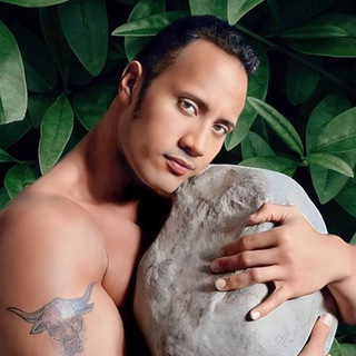 Камень не в мой огород