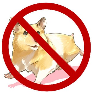 Стоп Хомяк⛔️🐹