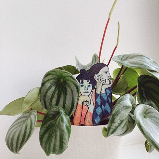 Истории на подоконнике