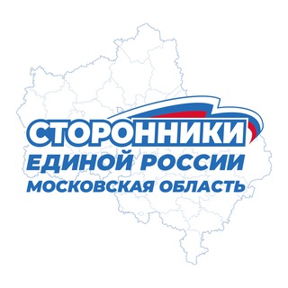 Сторонники Единой России Подмосковья