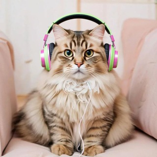 Strannik | Music 🎶