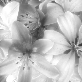 Фɸ ᧐ᴛ 𐍃᧐ⲙiᥱ