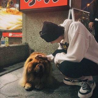 🔒⌗ αll my life for s͟͟k͟͟z 𔓕 KARMA || zαmirkqw plαce !