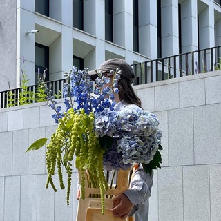 STUDIO 7 • Студия 7