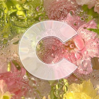 Студсовет ВШБ