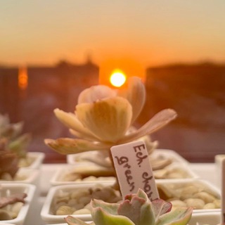 Дневники (не)одного подоконника 😎