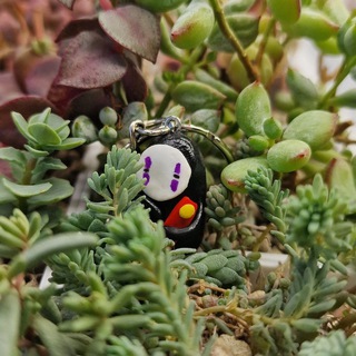 Дары Суккулесья