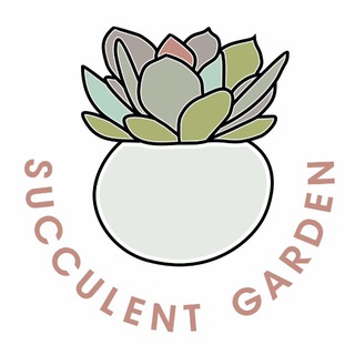 Succulent garden 🪴