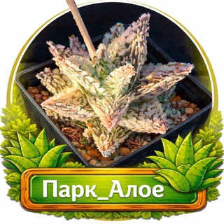 Парк_Алое
