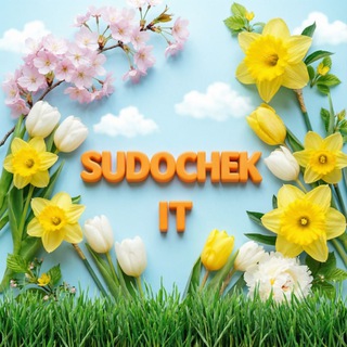 SUDOCHEK IT (и не только)