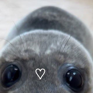 папочка 𝚜𝚞𝚐𝚊𝚛