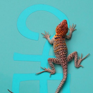 Сахарный человек ⚡️ эйсид-рок