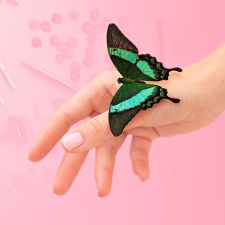 Женщины | Су Джок