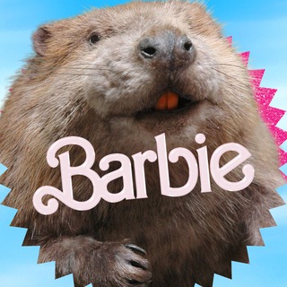 КРУТЫЕ БОБРЫ