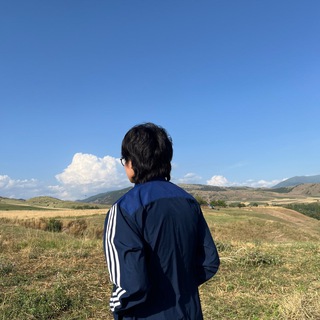 сто одна собака