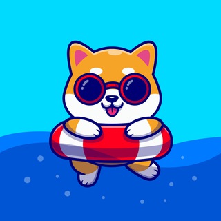 SummerDoge