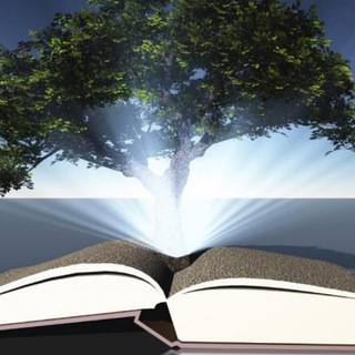 Современный Дом