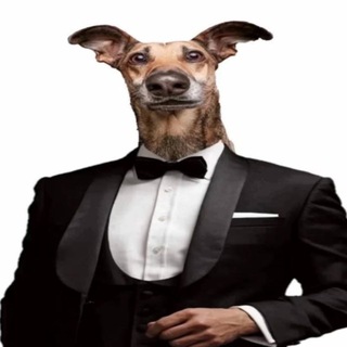 САНРАЙЗ 🤙🏻