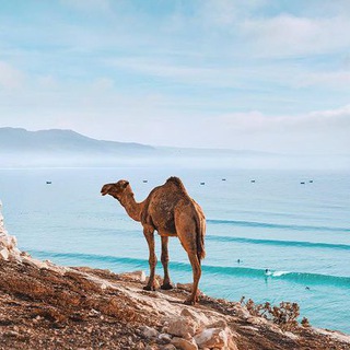 Серфинг в Марокко