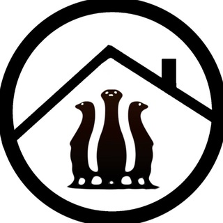 Приют Сурикат Екб