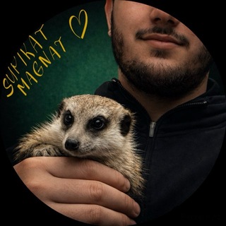 СурикатМагнат 🚀