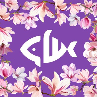 Суши Шеф | Волгодонск | Доставка пиццы, роллов