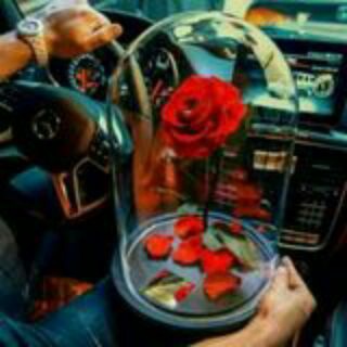 ❤️QALBIM GAVHARI❤️