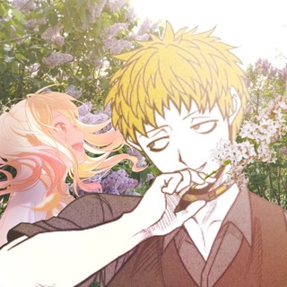 Свалка сливов от Клаури