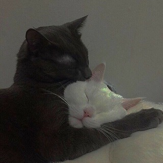 👁️ милый канал 👁️