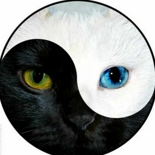 Чисто по фану