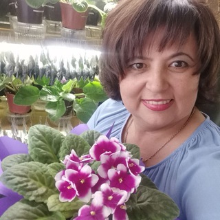 Цветы (фиалки, фуксии, пеларгонии, розы и не только) от Светланы Бурняшевой