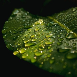 Свежие стихи 🌿