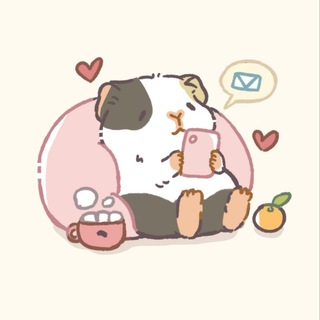 Морские свинки