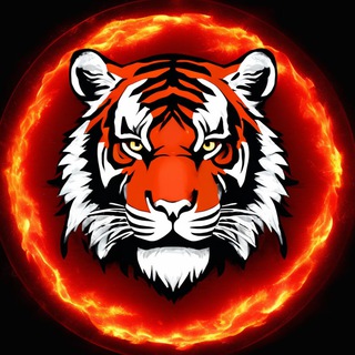 prim_police владивосток приморье в приморья вторяк аренда недвижимости покупка квартиры дром машина автобус prim25live