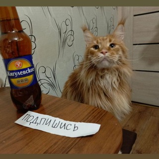 сигны постят тут!