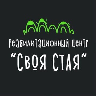 РЦ «СВОЯ СТАЯ»