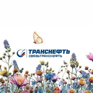 Связьтранснефть