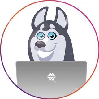 SW_Krasnoyarsk_LIVESTORE