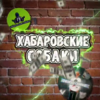 хабаровские собаки – #1 мем-паблик