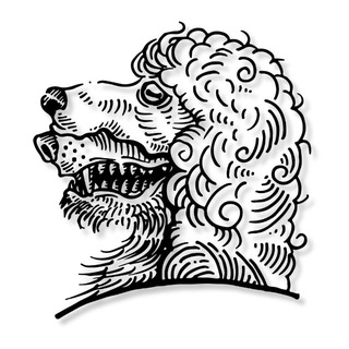 Команда уверенности/swag team