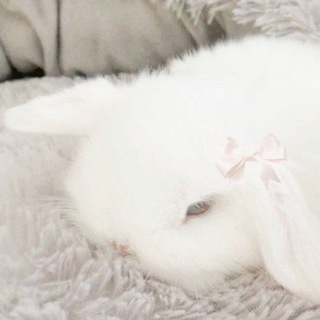 ꒰つ៸៸ ˊ ˘ ˋ ៸៸꒱つ sᥣᥱᥱρy δᥙᥒᥒiᥱs 🤍˚