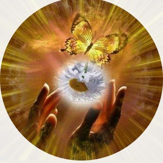 Свет и Любовь