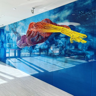 7 Стартов Плавание