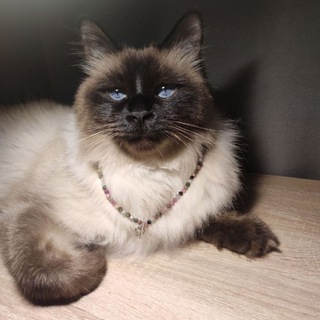 Украшения от Ольги Сычевой